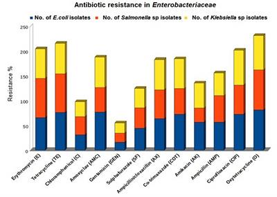 Exploring broilers and native fowls of Andaman and Nicobar Islands as a source of β-lactamase-producing Enterobacteriaceae even with limited anthropogenic activities and docking-based identification of catalytic domains in novel β-lactamase variants